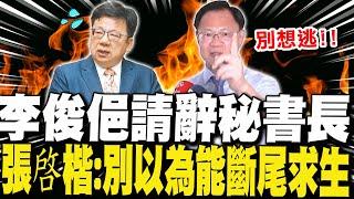 【每日必看】李俊俋請辭秘書長 張啓楷:別以為能斷尾求生｜監察院院會"4分鐘散會" 張啓楷:比蚊子院還不如 20250602