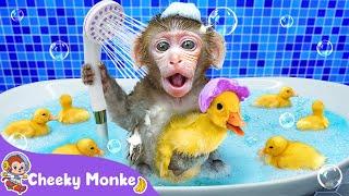 The Bath Song  Baby Monkey and Fun Bath Time Song | Cheeky Monkey - Nursery Rhymes & Kids Songs