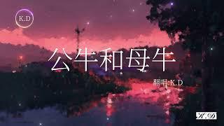 K.D翻唱 《公牛和母牛》【你要我怎麼做怎麼說你才能愛我】(Cover by K.D)【動態歌詞/Pinyin Lyrics】超好聽的流行歌曲