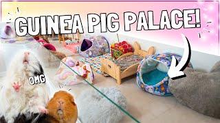 Building the ULTIMATE Guinea Pig Cage! 