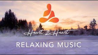 Relaxing Calm Music for Meditation and Stress Relief 19