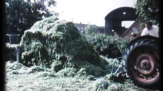 Dairy Farming in the UK in the 1960's