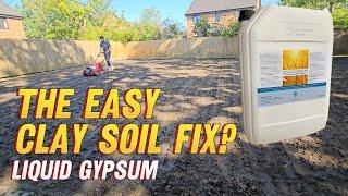 Clay Lawn Fix ?? // WIll Liquid Gypsum Work for Drainage?? // Autumn Lawn Renovation  / Flocculation