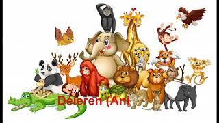 Learn Luxembourgish: Lesson 4 - Animals - part 1