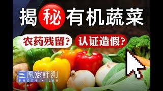 揭秘有机蔬菜：3万元就给认证？这水有点深丨凰家实验室