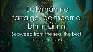 Dúlamán - LYRICS + Translation - Celtic Woman