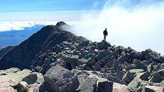 3-Day Solo Hike,  25 Fungi Identified in Mt. Katahdin and Mt. Lafayette