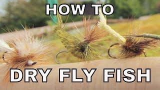 Dry Fly Fishing | How To with Tom Rosenbauer