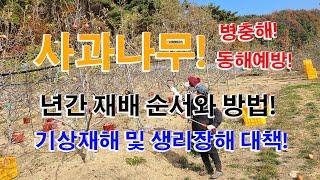 이것만 알아도 사과농사 반은 끝났다 사과나무 재배 년간 주요일정 및 작업  20210117