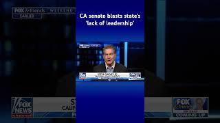 Report reveals California spent $24B to fight homeless crisis #shorts