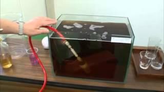 The Ultimate Water Purifier  - Small, Light and Portable