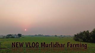 !! Farming vlog !! !! Murlidhar farming !!