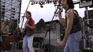 Lou Diamond Phillips - Live at Farm Aid 1993