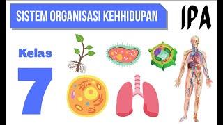 SISTEM ORGANISASI KEHIDUPAN : IPA KELAS 7 SMP