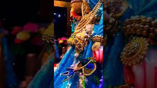 Koi Jaaye Jo Vrindavan #vrindavan #RadhaVallabh #shorts #trending #video #shorts #like #subscribe