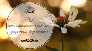 Мұхаммед Пайғамбар ﷺ қандай еді