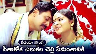 SEETHAKOKA CHILAKA LA CHELLI | SONG | PUTTINTIKI RA CHELLI  | ARJUN | MADHUMITA | TELUGU CINE CAFE