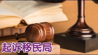 在美国如何和移民局打官司？|法律讲堂：Sue Immigration