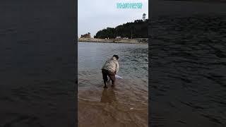 겨울투망 염전에서 숭어 4마리[화성이반장]#shorts