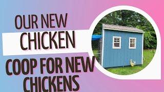 NEW CHICKEN COOP |  TIPS on how to do this