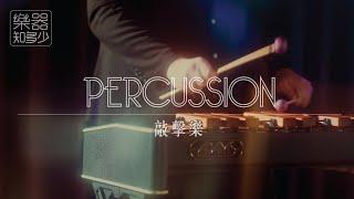 【西樂101】《樂器知多少》第十一集：敲擊樂【Western Music】"Musical Instruments" Episode 11: Percussion