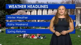Alex Schneider weather forecast
