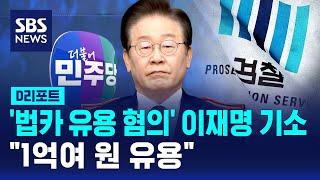 '법카 유용 혐의' 이재명 기소…"1억여 원 유용" / SBS / #D리포트