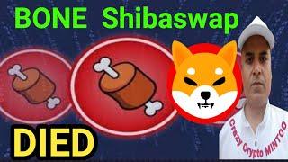 BONE  Shibaswap क्या मर गया ? || Shiba Inu  || Crazy Crypto Mintoo