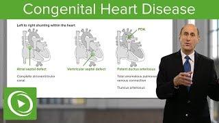 The Easy Way to Understand Congenital Heart Disease 🫀 | Cardiology