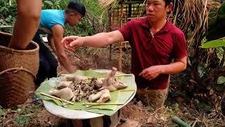 Lý Dân Tộc Thái Tây Bắc  Poòng Văn Quỳnh