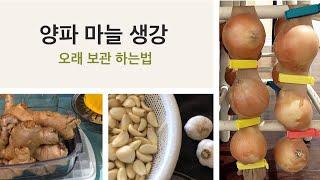 일주일이 편해지는 식재료 정리법 #3 • 양파, 마늘, 생강 오래 보관 하는법 • 3가지 식재료 정리 보관법 [면역력 높여주는 식재료]