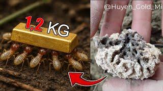Gaint Gold Nugget EP-20, The SECRET under the giant termite nest - Real Gold Panning & Prospecting