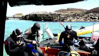 Seal & Lagoon Tour with Basking Shark Scotland