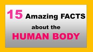 15 Amazing Facts about the Human body (Science Trivia)