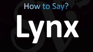 How to Pronounce Lynx (CORRECTLY!)