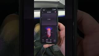 Sentry Mode Live View Issues 