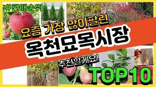 옥천묘목시장 추천 판매순위 Top10 || 가격 평점 후기 비교