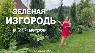 НЕОРДИНАРНАЯ ЗЕЛЕНАЯ ИЗГОРОДЬ В 20 МЕТРОВ. КАК ЭТО ВЫГЛЯДИТ И КАКИЕ РАСТЕНИЯ ?