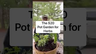 The $20 pot garden for herbs