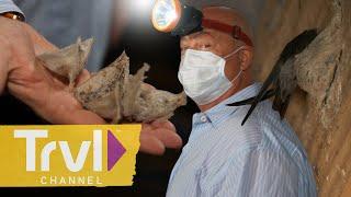 Turning Bird Nests into Food | Bizarre Foods With Andrew Zimmern | Travel Channel