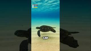  5 Shocking Facts You Won’t Believe! | You Probably Didn’t Know These! #shorts #facts