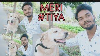 MERI TIYA RANI | WORLD BEST DOG | TIYA RANI |DELHI RVK | MITHUN HANSRAJ