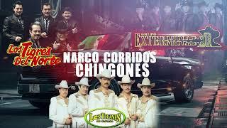 Narco Corridos Chingones / Los Tigres - Los Tucanes - Grupo Exterminador