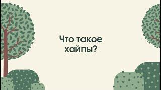 Что такое хайп?