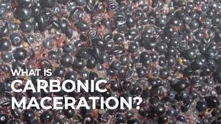 What is Carbonic Maceration?