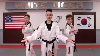 Episode 1 | Axe Kick | JH Kim's WHITE TIGER MARTIAL ARTS