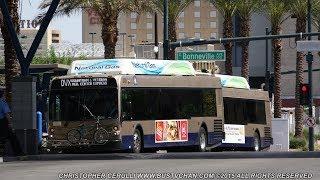 THE BUSES OF REGIONAL TRANSPORTATION COMMISSION ( RTC ) LAS VEGAS NV