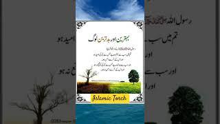 Islamic Torch: Behtreen Log aur Buray Log Hadith  #shorts