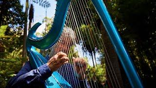 Harp Meditation with Michael Johnson | 8 Minute Meditation