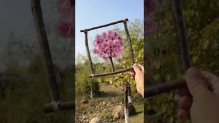 nature frame craft #diy